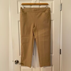 Chicos Brigitte Slim Ankle Pants Size 16-XL (Chicos Size 3)